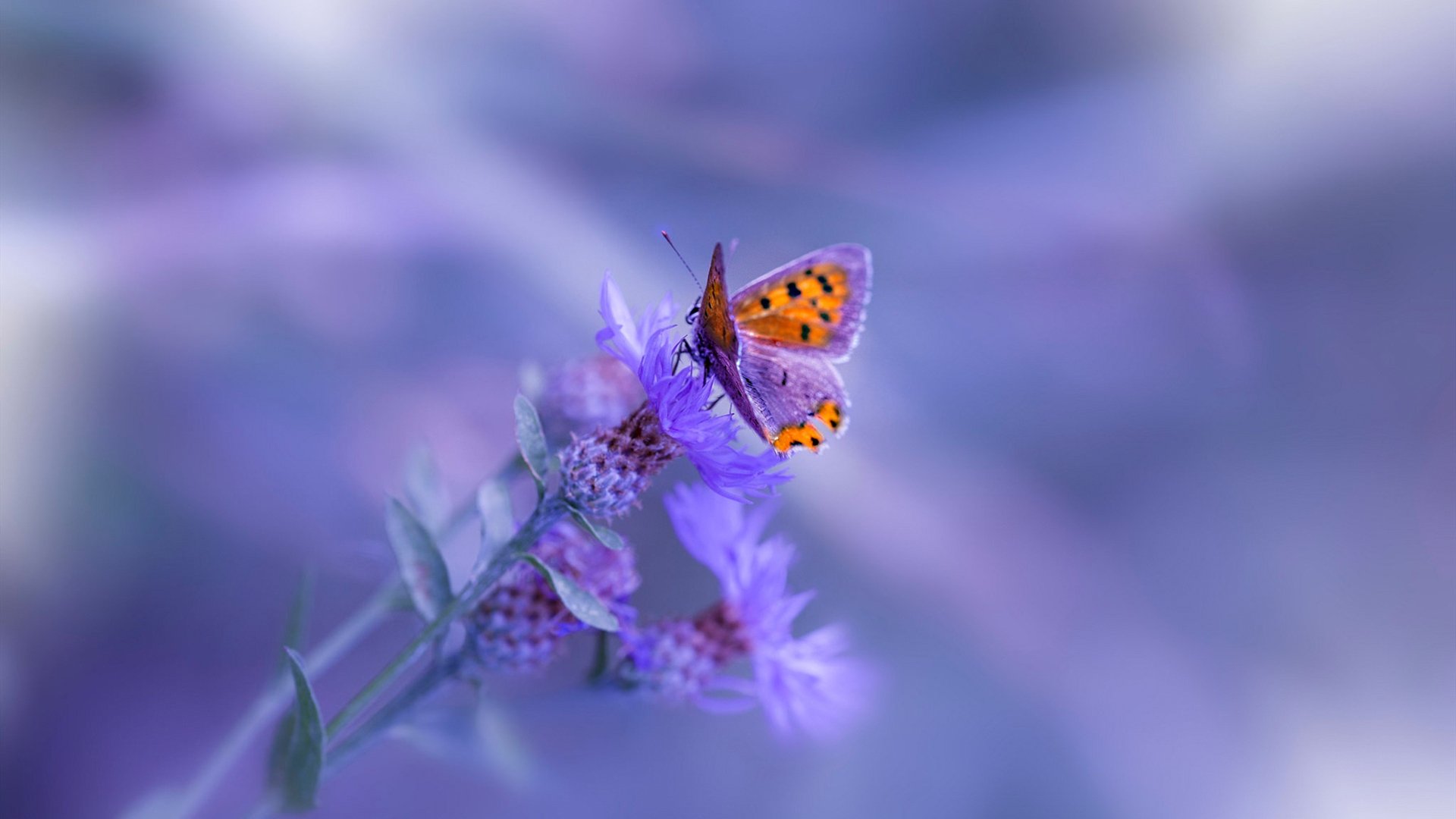 九游登录入口-_大满贯巡回：精彩连连，期待下一场激战_，大满贯行动