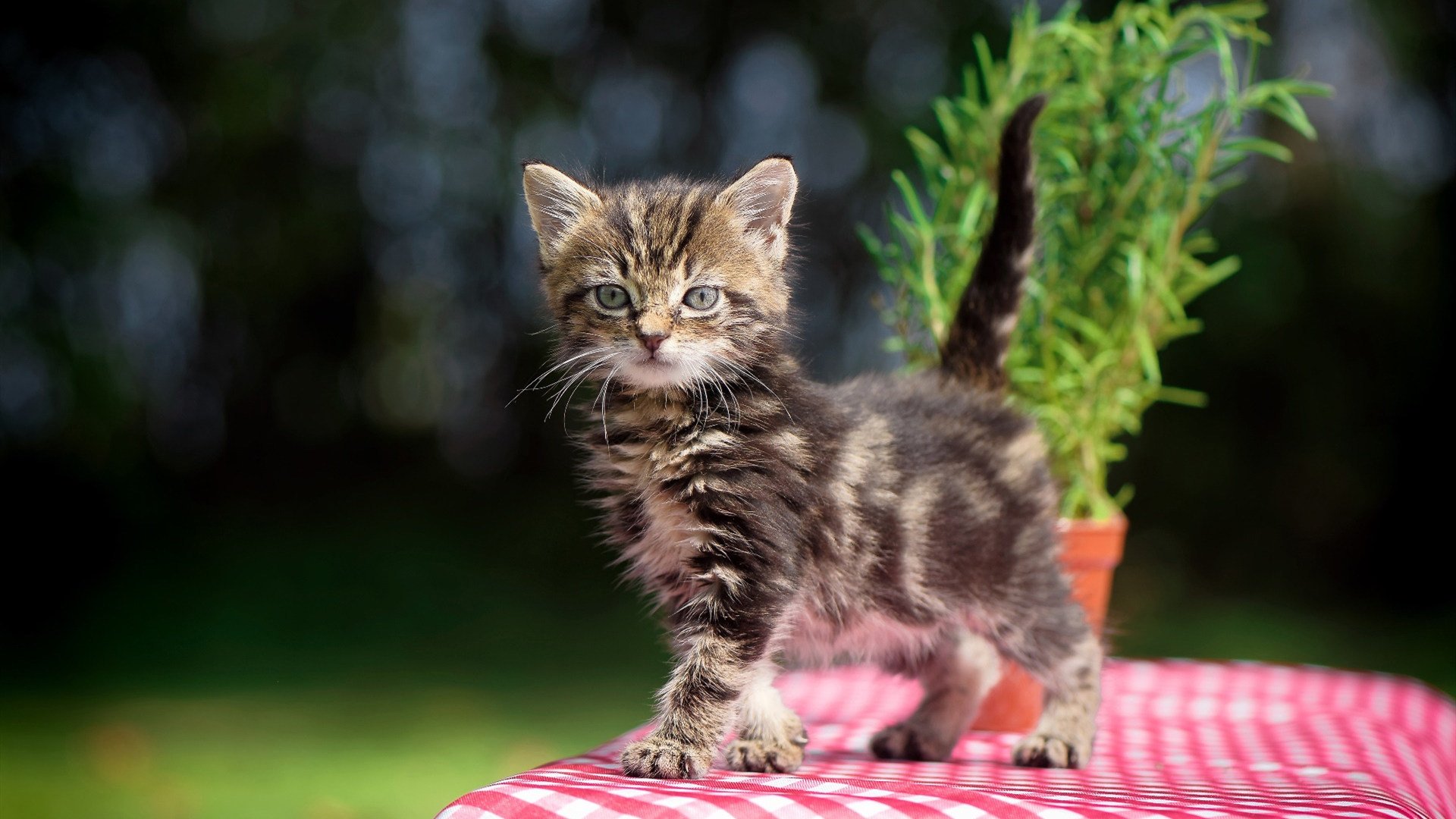 九游app下载中心-_赛事暂停？天气因素影响比赛节奏_，球赛因天气原因中断