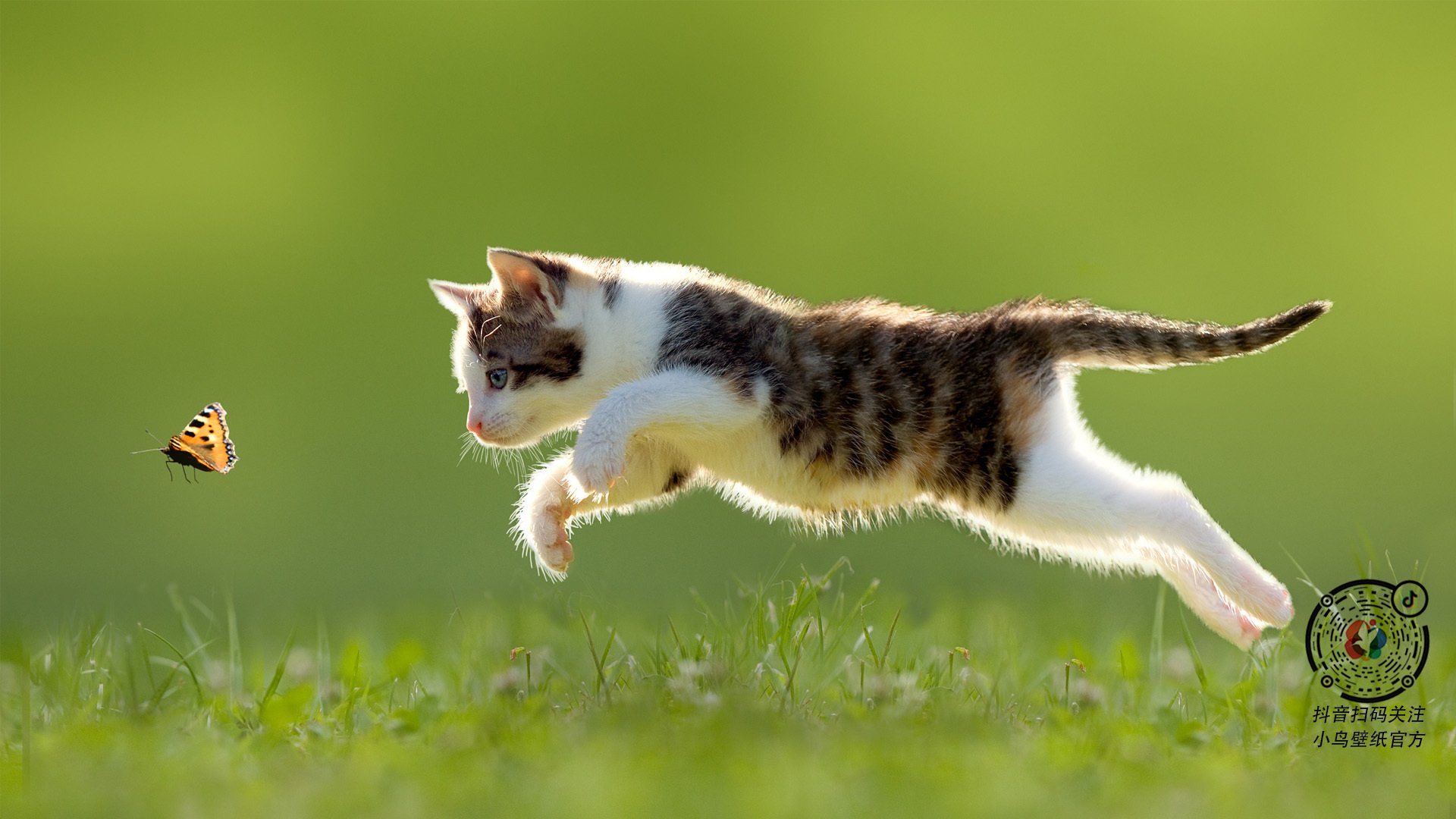 中国冰壶混双冲击奥运名额,末局惜败瑞典,中国冰壶奥运冠军