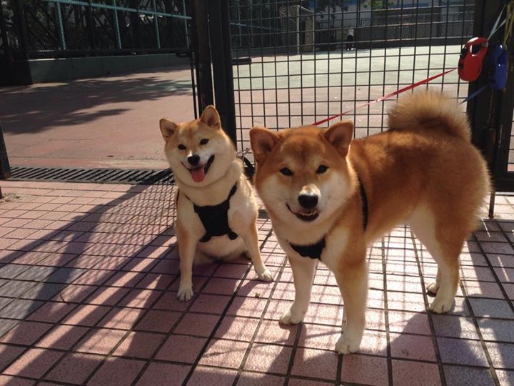 九游（jiuyou.com）游戏-关键数据：比赛中最具影响力的统计指标，关键指标是什么意思