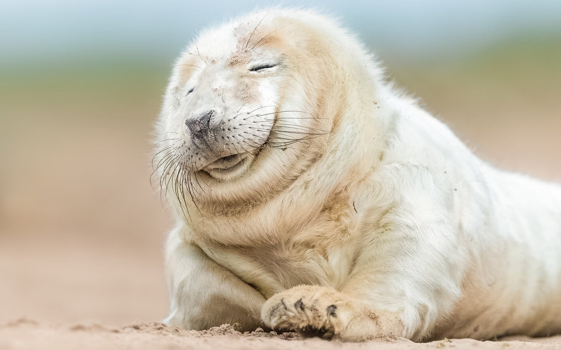 特色冰川漂流，极地雪域的速度与惊险，冰川漂浮物