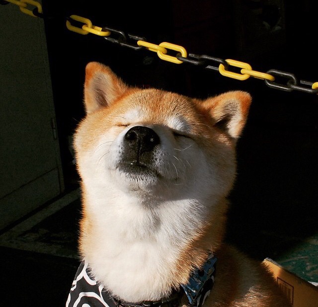 国米主帅调整战术,原国米主帅