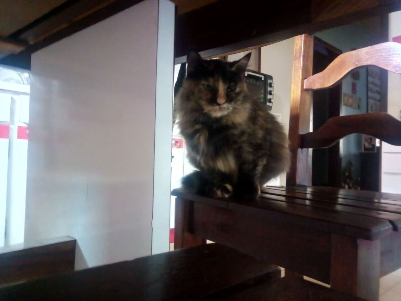 JIU YOU GAME-拜仁慕尼黑实现二连胜，夺冠前途一片光明，拜仁慕尼黑全胜夺冠