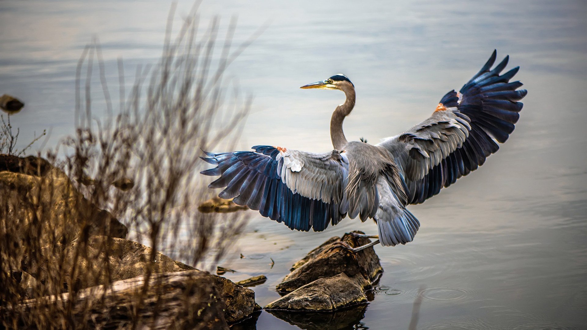 -澳大利亚球员实力崛起，北马其顿队遭遇惨败,意料之外的结局令人瞠目