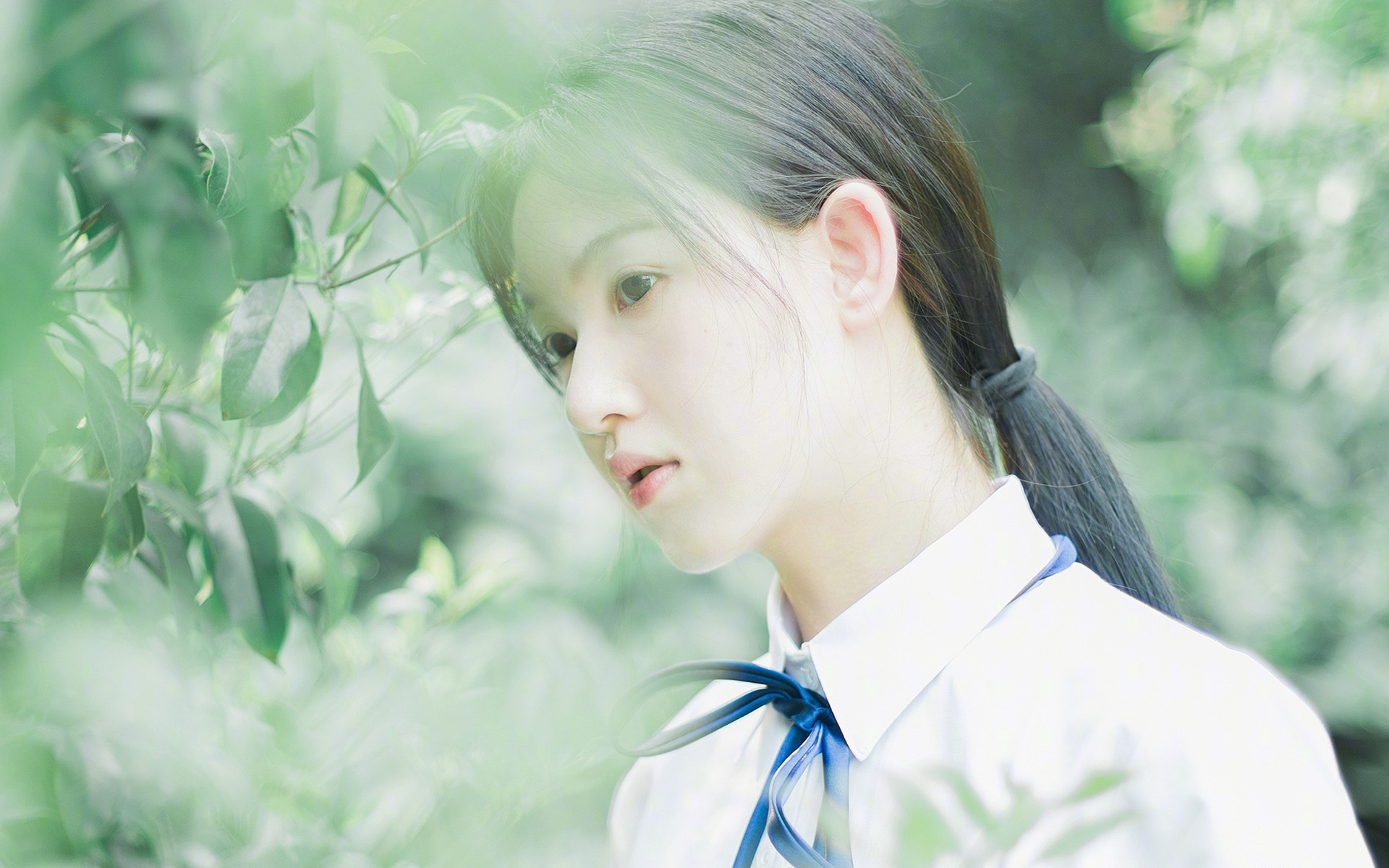 五人制橄榄球亚锦赛中国男队迎六连胜，亚洲橄榄球锦标赛