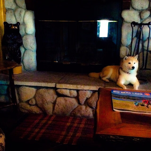 “手球与合球:沙滩赛场双项竞技燃爆天府新区”