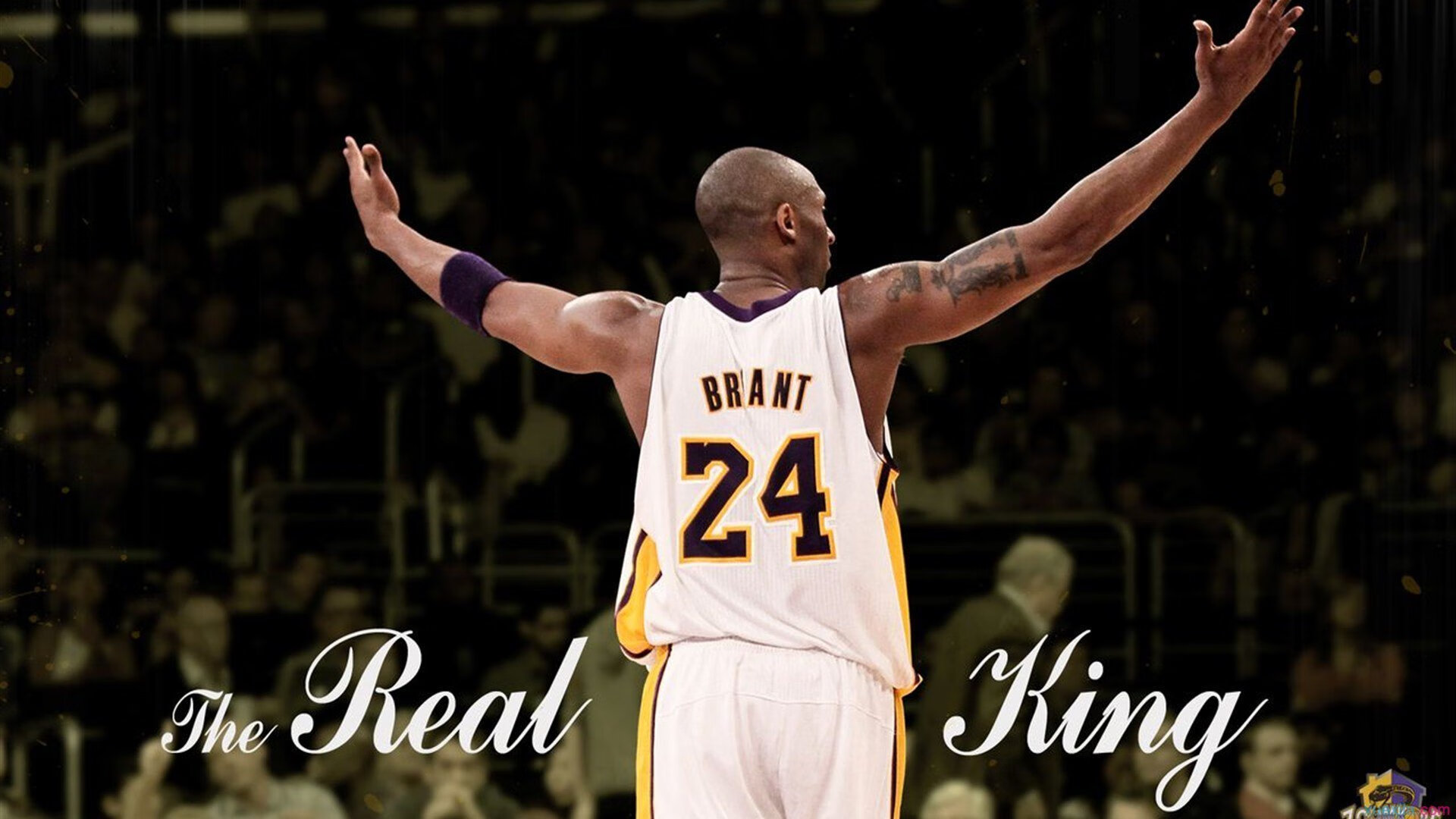 主教练如何设定比赛首节节奏节拍,主教练下课是什么意思