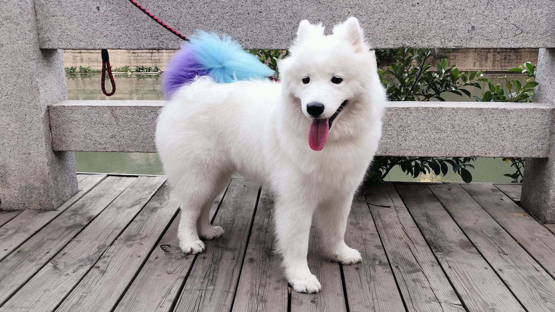 体育新闻中心推动基层体育内容数字化升级,体育新闻中心推动基层体育内容数字化升级的措施