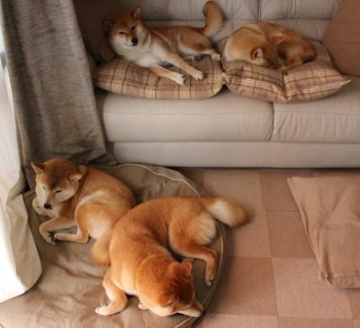 女子排球再战强敌全力备战亚运，女子排球再战强敌全力备战亚运会视频