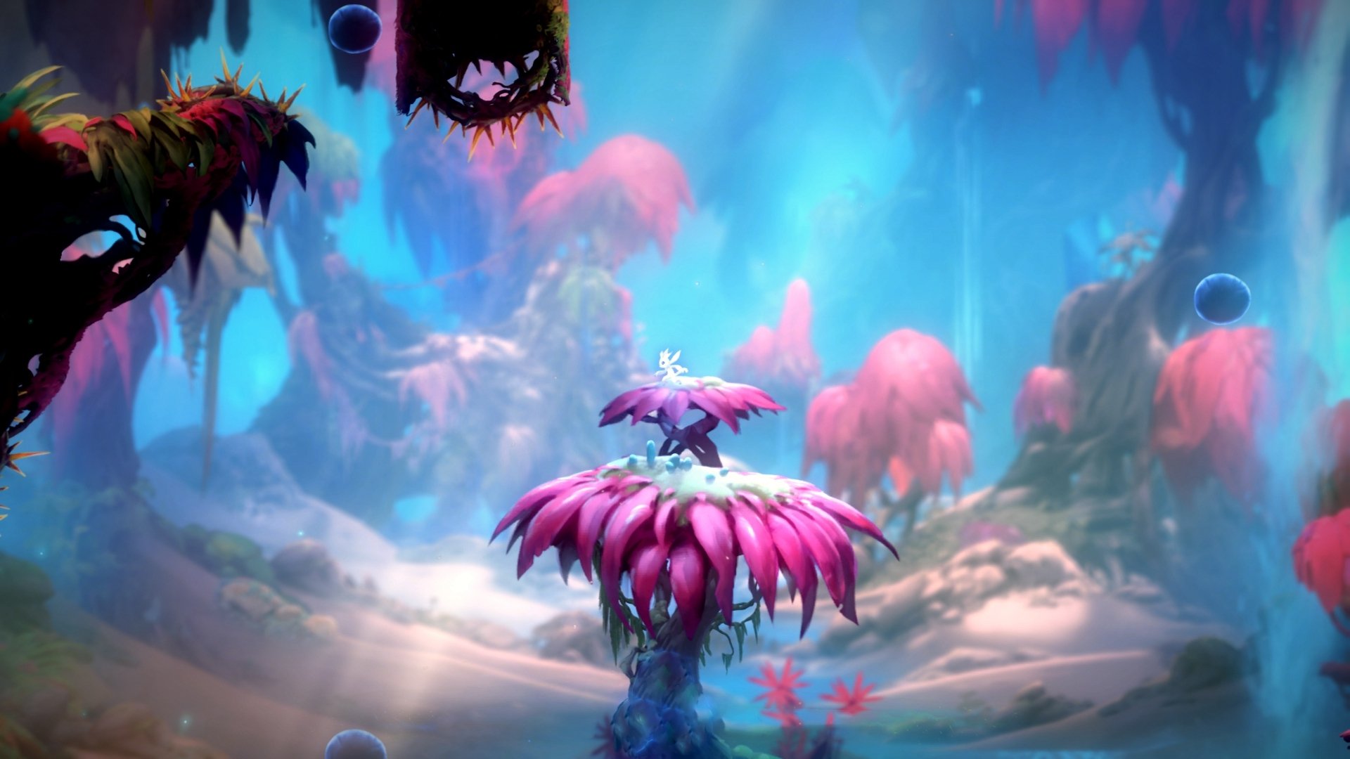 九游官网下载电脑版-女子200混德国新秀游出好成绩，德国女子100米运动员