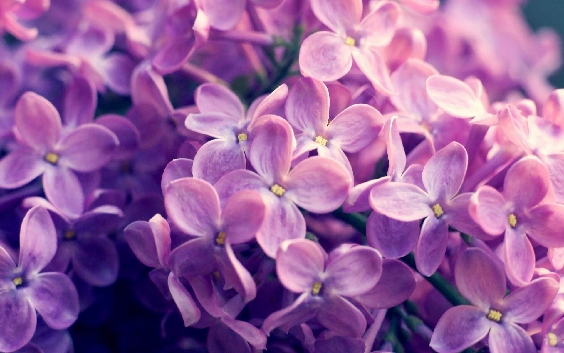 -技术雷达图揭示动作优化成果，技术雷达图揭示动作优化成果的原因