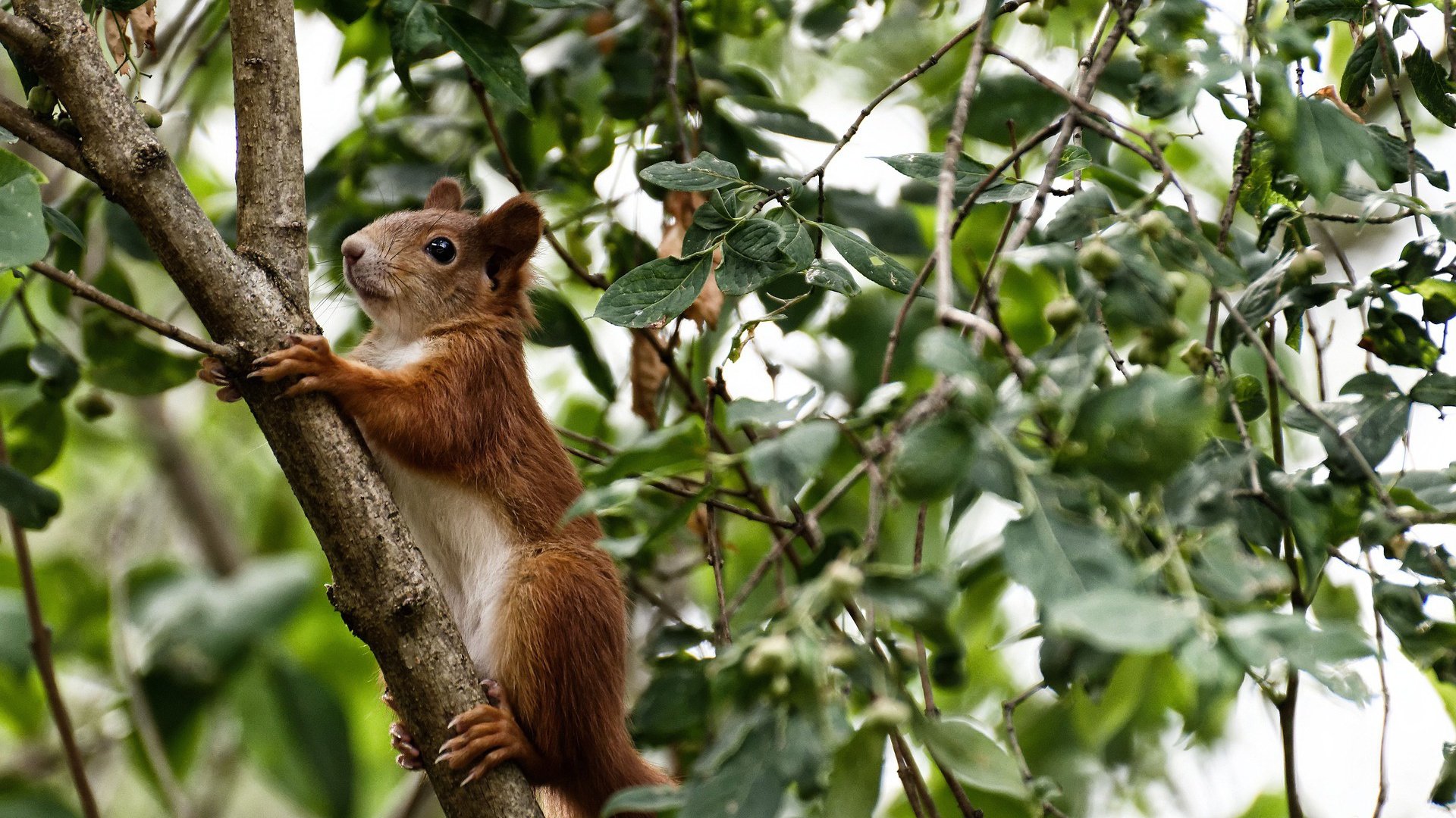 篮球心理训练 如何打造强大内心，篮球心理训练方法