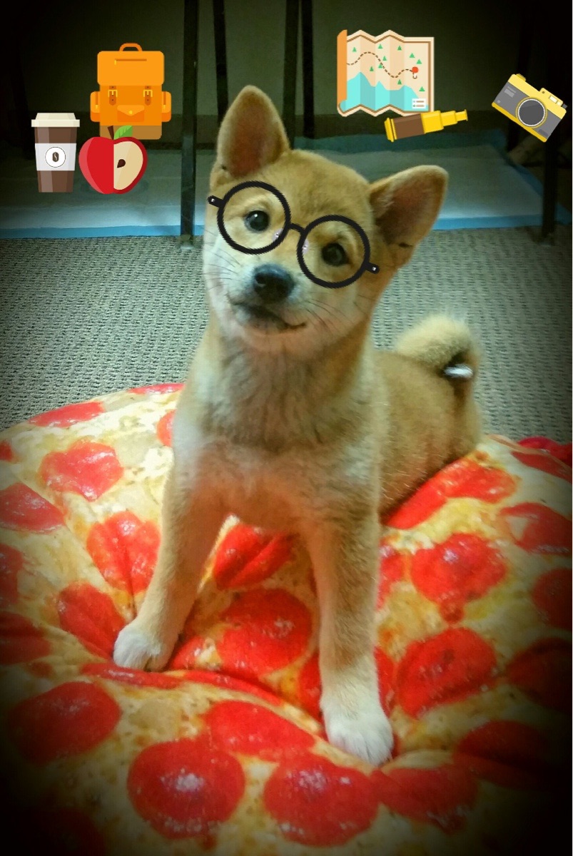 比赛节奏控制决定胜负,比赛节奏控制决定胜负吗